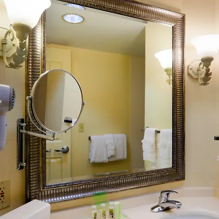Holiday Inn Chantilly-Dulles Expo Airport By Ihg Zimmer foto