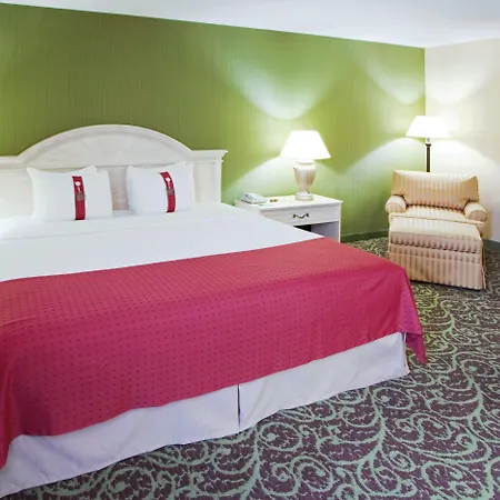 Holiday Inn Chantilly-Dulles Expo Airport By Ihg Zimmer foto